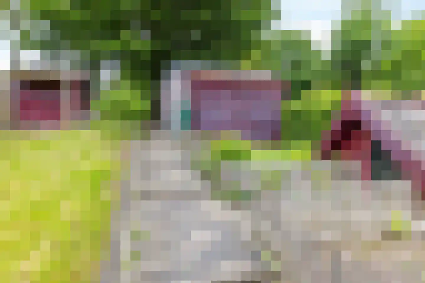 Naanhofsweg 86 Nuth thumbnail 30
