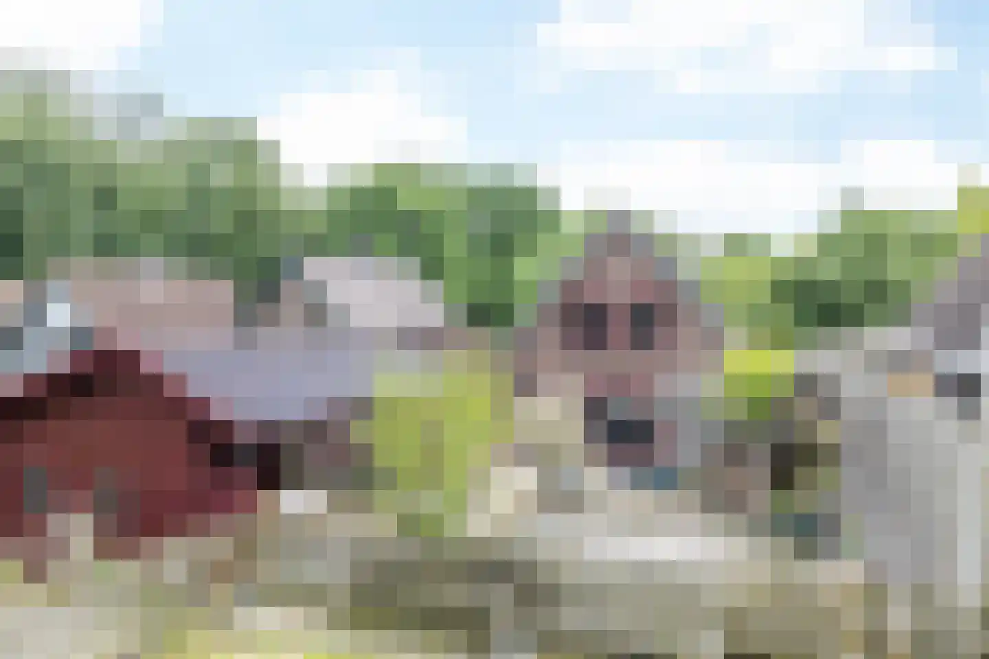 Naanhofsweg 86 Nuth thumbnail 32