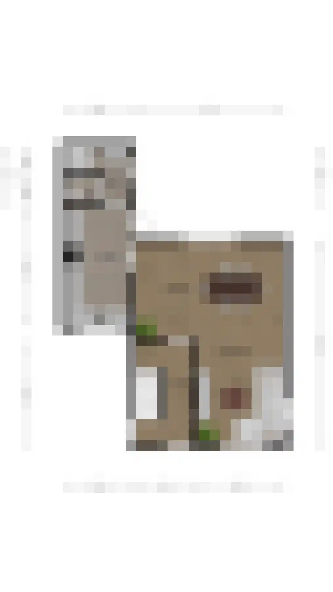 Naanhofsweg 86 Nuth thumbnail 39