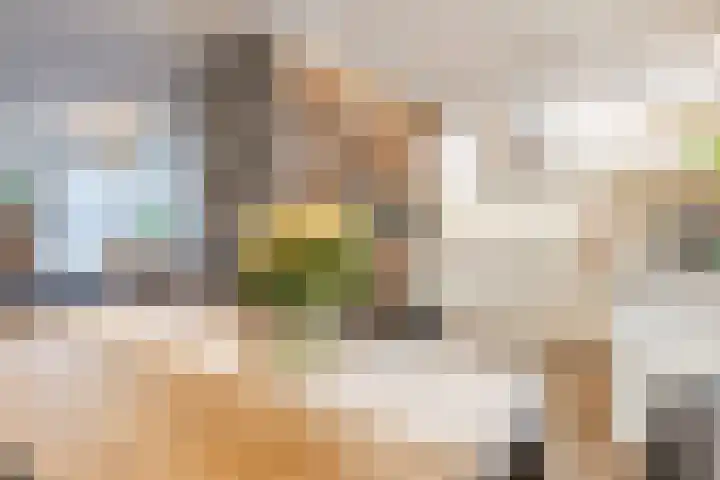 Naardenstraat 129 Tilburg thumbnail 10