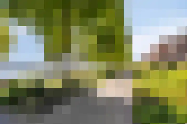Naardenstraat 14 Almere thumbnail 31