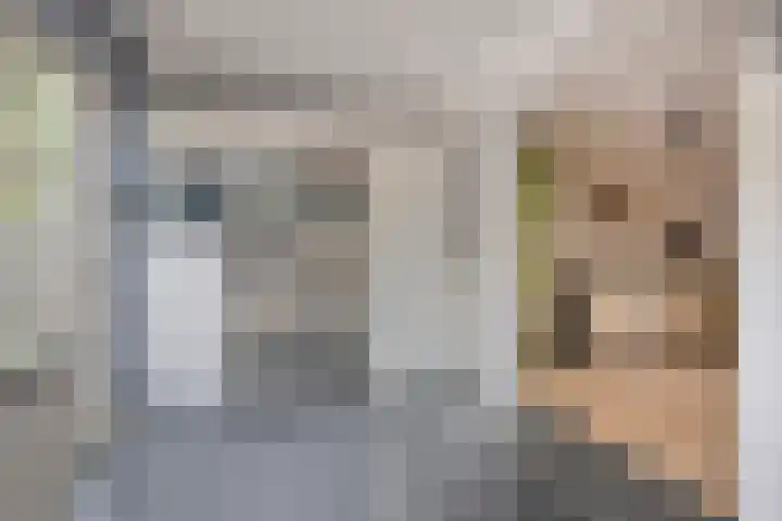 Naardenstraat 187 Tilburg thumbnail 15