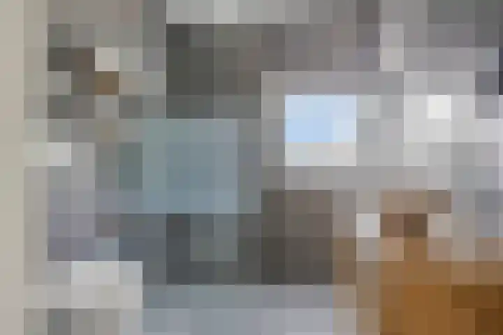Naardenstraat 187 Tilburg thumbnail 17