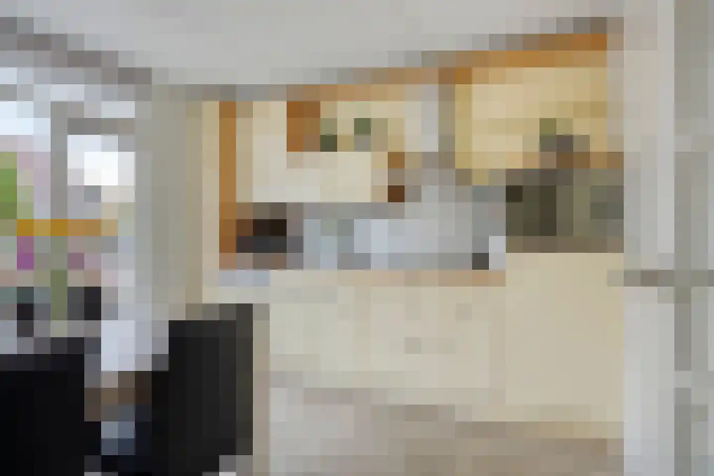 Naardenstraat 45 Tilburg thumbnail 17