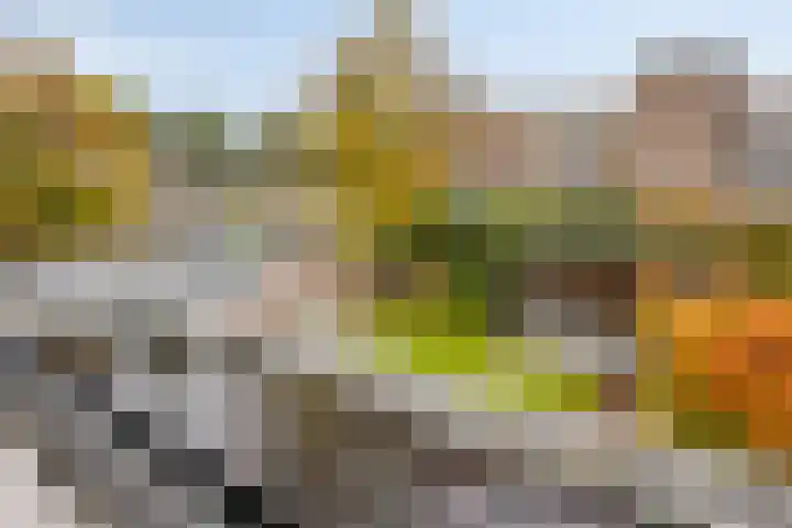 Naardenstraat 57 Tilburg thumbnail 38