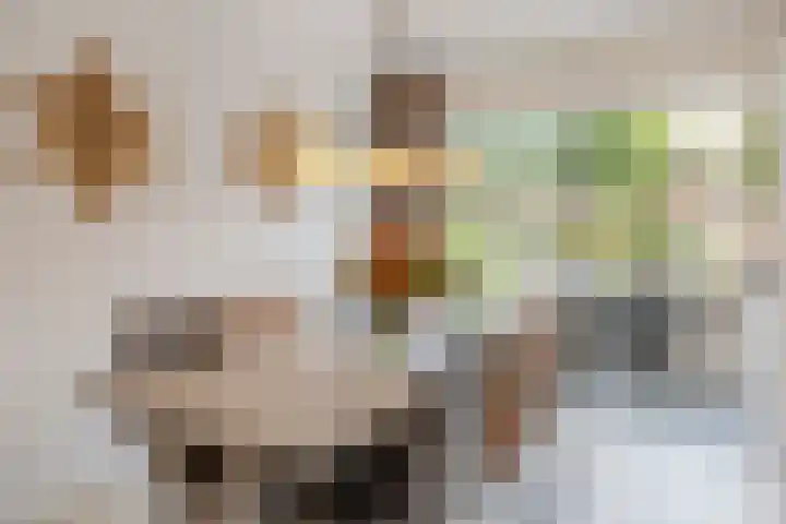 Naardenstraat 6 Tilburg thumbnail 11