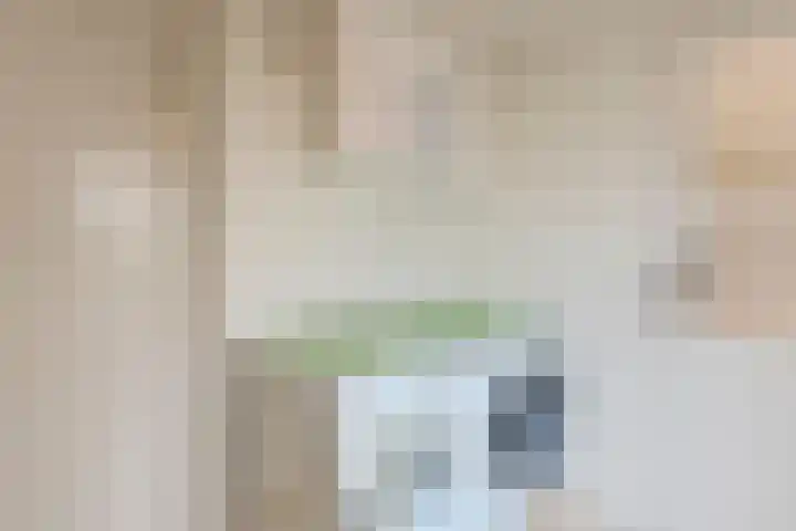 Naardenstraat 6 Tilburg thumbnail 15