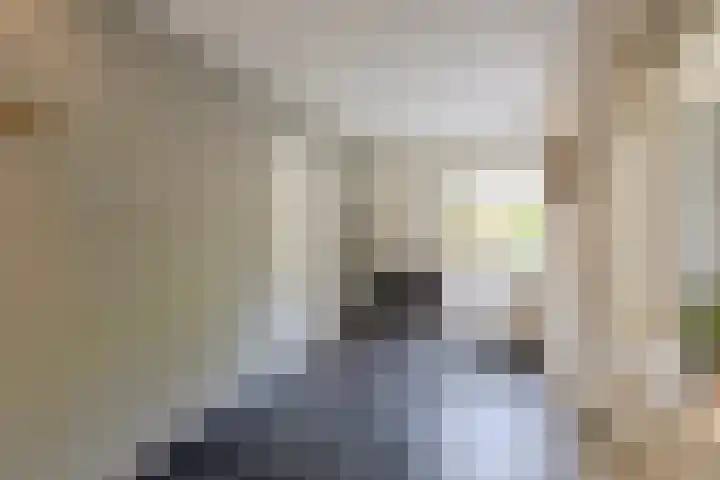 Naardenstraat 6 Tilburg thumbnail 19