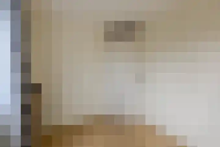 Naardenstraat 6 Tilburg thumbnail 23