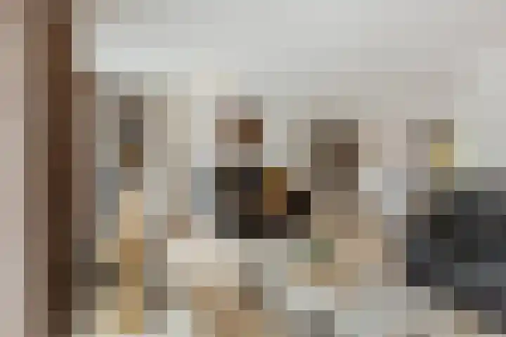 Naardenstraat 6 Tilburg thumbnail 9