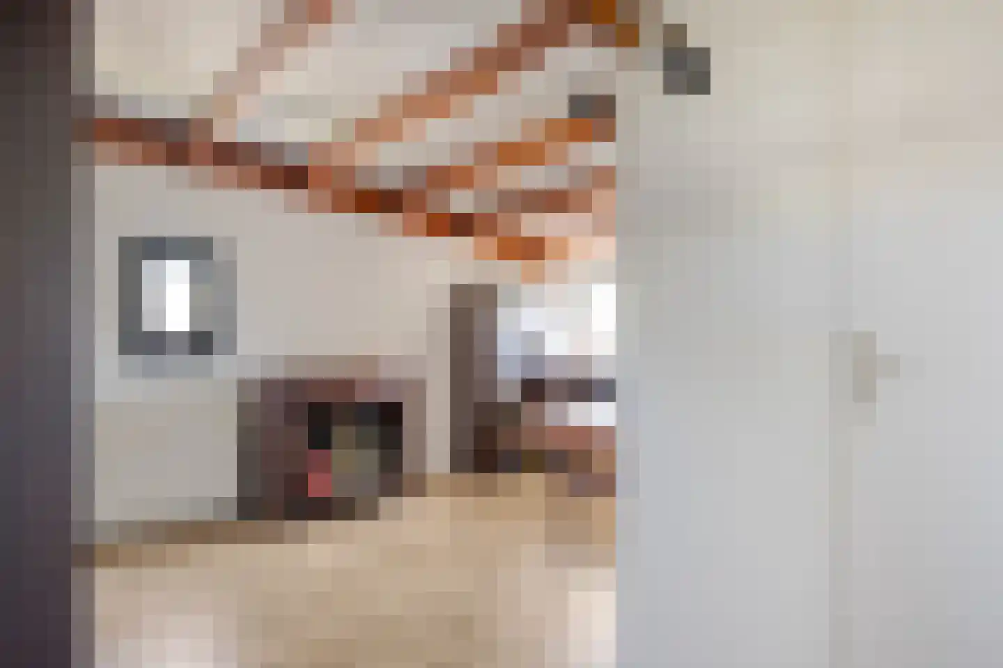 Naardenstraat 68 Tilburg thumbnail 25