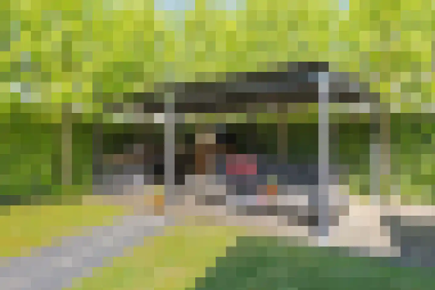 Naardenstraat 68 Tilburg thumbnail 31
