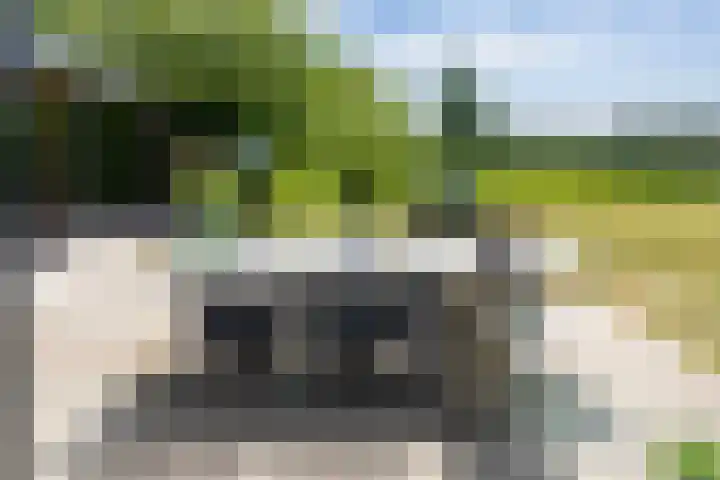 Naardermeer 11 Naarden thumbnail 16