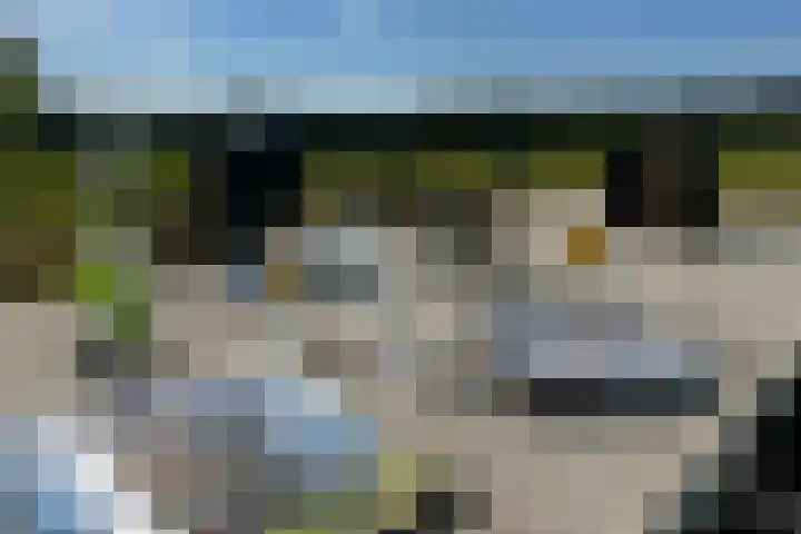 Naardermeer 11 Naarden thumbnail 17