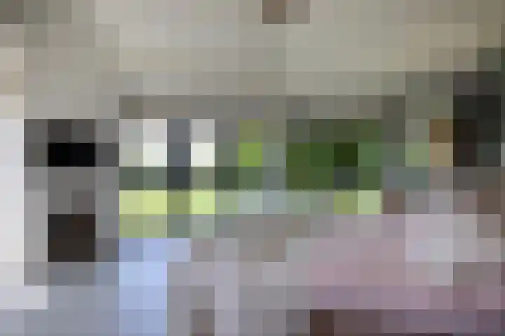 Naardermeer 11 Naarden thumbnail 37