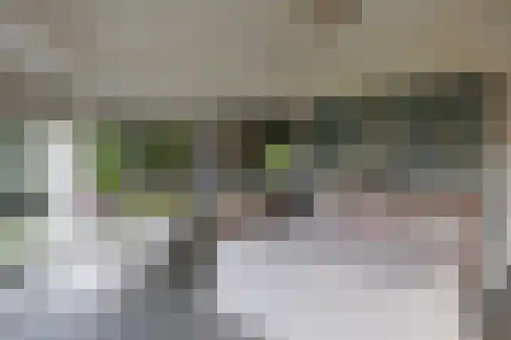 Naardermeer 11 Naarden thumbnail 38
