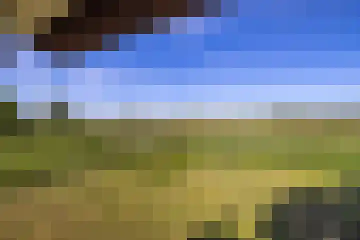 Naardermeer 11 Naarden thumbnail 51