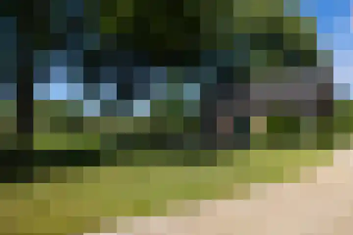 Naardermeer 11 Naarden thumbnail 53