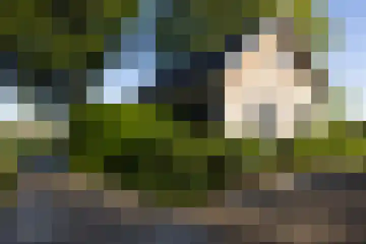 Naardermeer 11 Naarden thumbnail 54