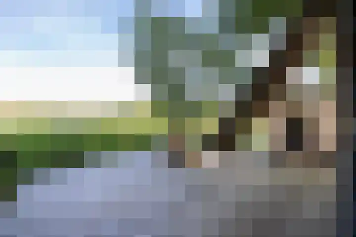 Naardermeer 11 Naarden thumbnail 57
