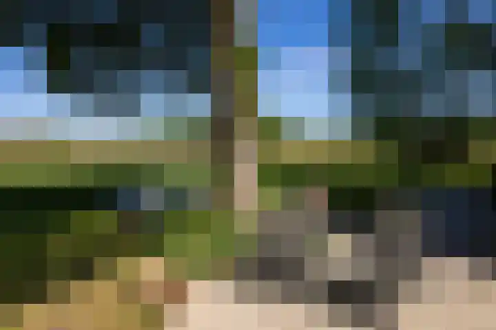 Naardermeer 11 Naarden thumbnail 69