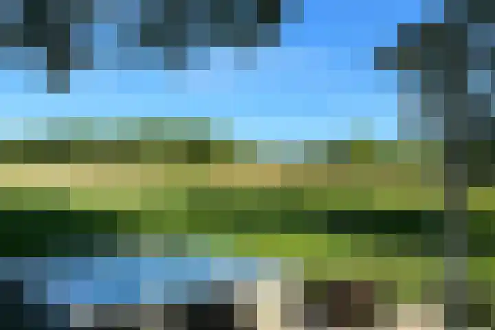 Naardermeer 11 Naarden thumbnail 70