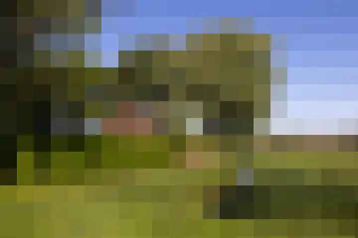Naardermeer 11 Naarden thumbnail 72
