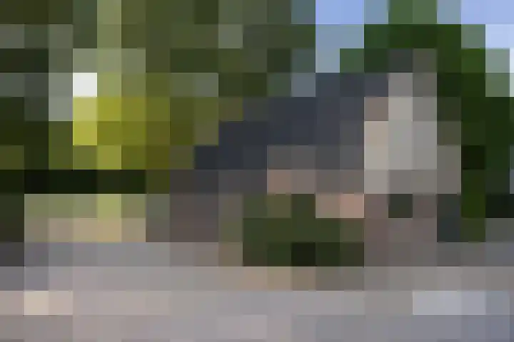Naardermeer 11 Naarden thumbnail 73