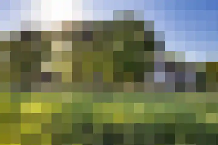 Naardermeer 11 Naarden thumbnail 75
