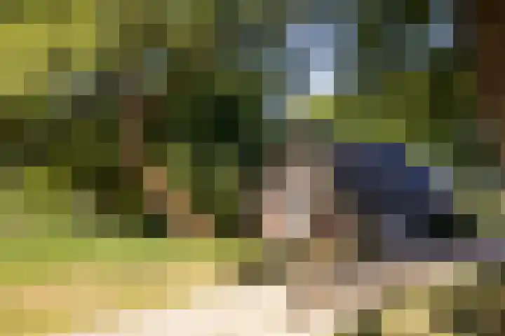 Naardermeer 11 Naarden thumbnail 81