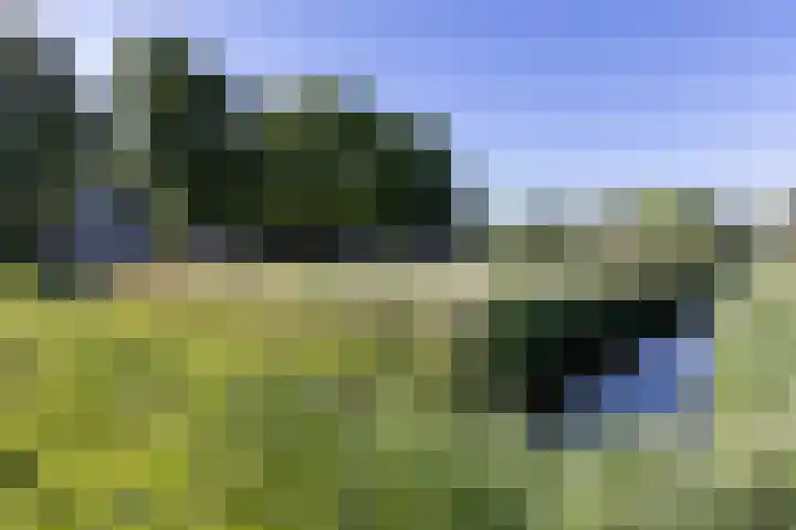 Naardermeer 11 Naarden thumbnail 86