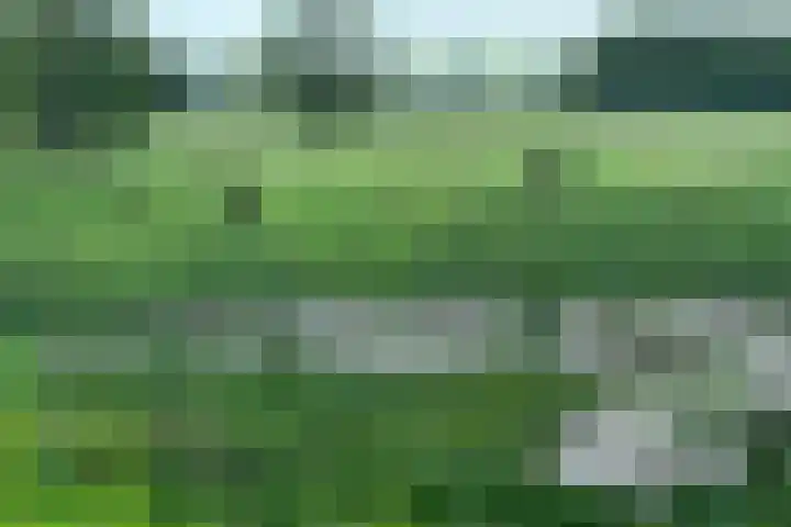 Naardermeer 11 Naarden thumbnail 87