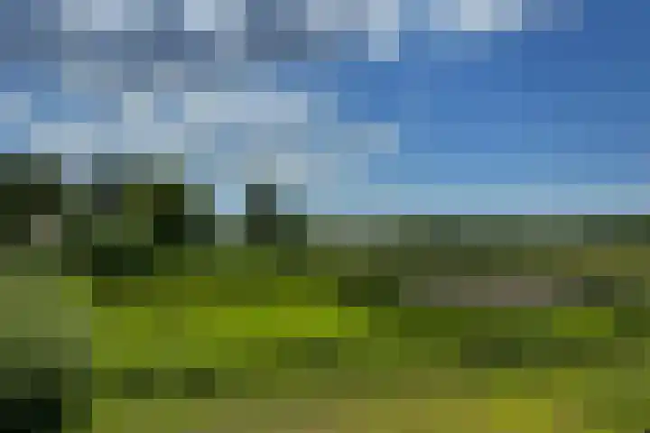 Naardermeer 11 Naarden thumbnail 88