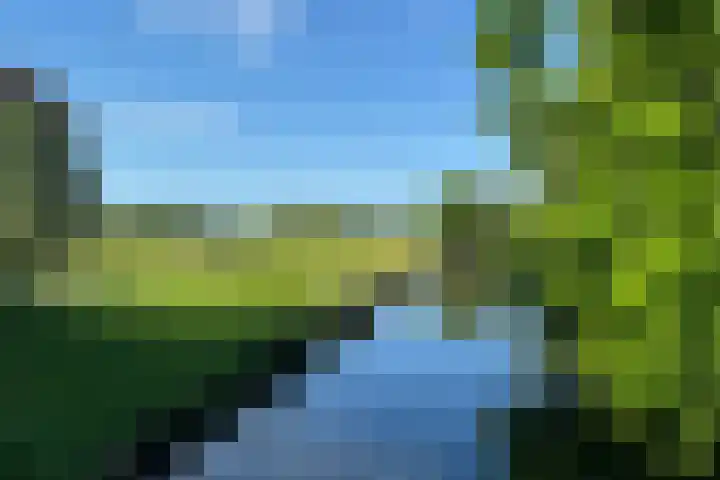 Naardermeer 11 Naarden thumbnail 89