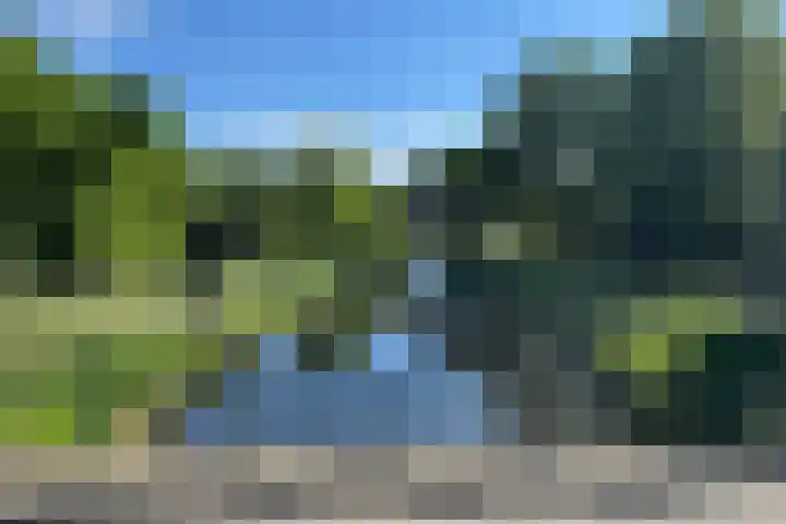 Naardermeer 11 Naarden thumbnail 90