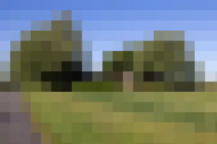 Naardermeer 11 Naarden thumbnail 91