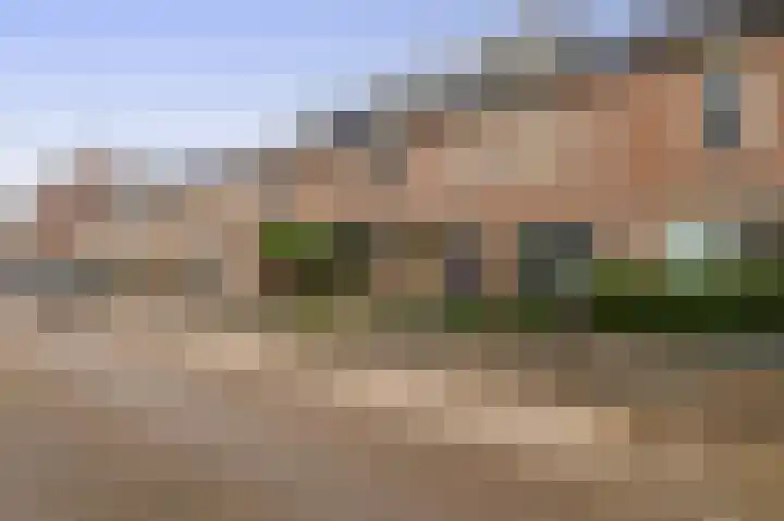 Naardermeer 193 Rotterdam thumbnail 31
