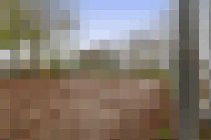 Naardermeer 193 Rotterdam thumbnail 32