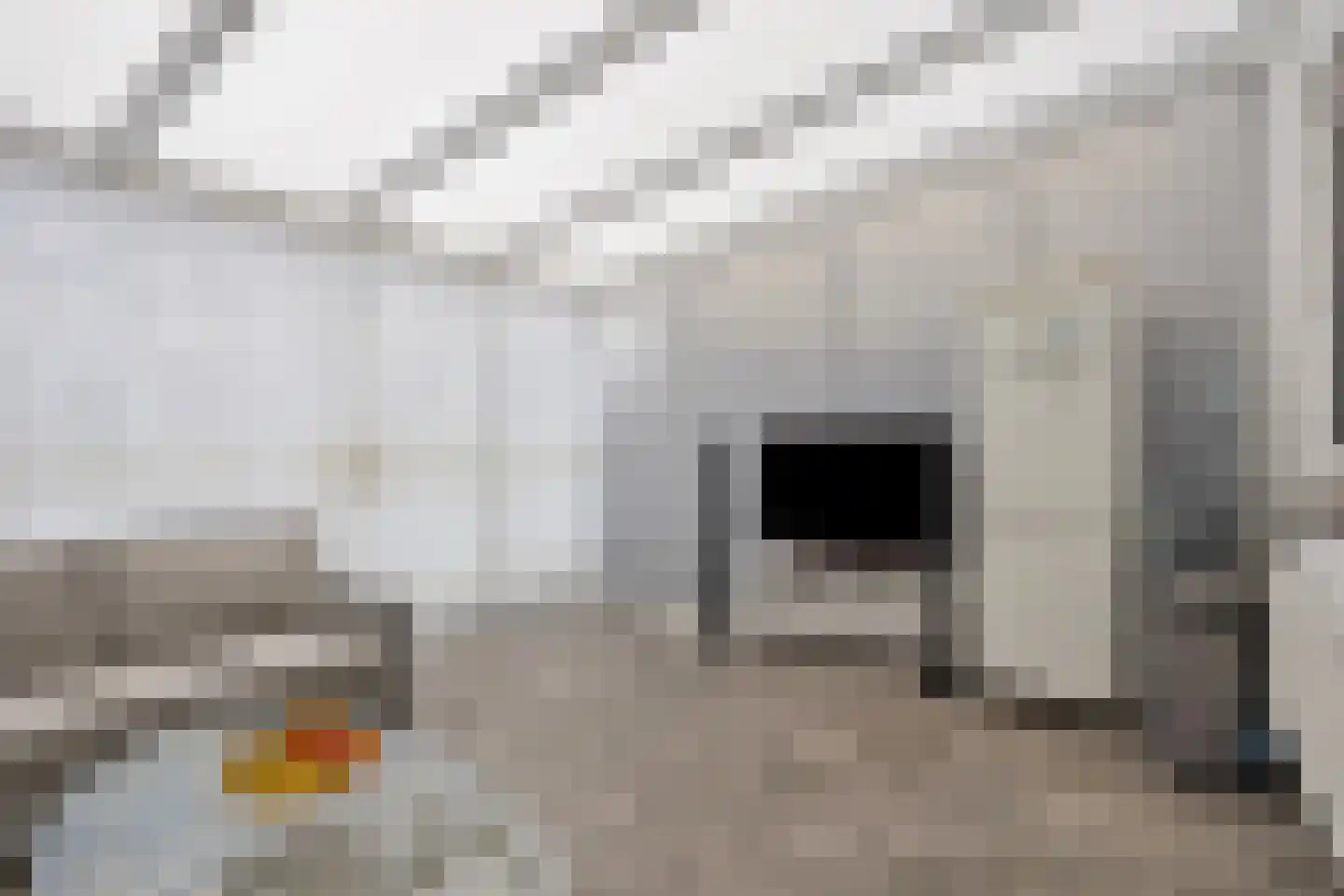 Naardermeer 207 Rotterdam thumbnail 13