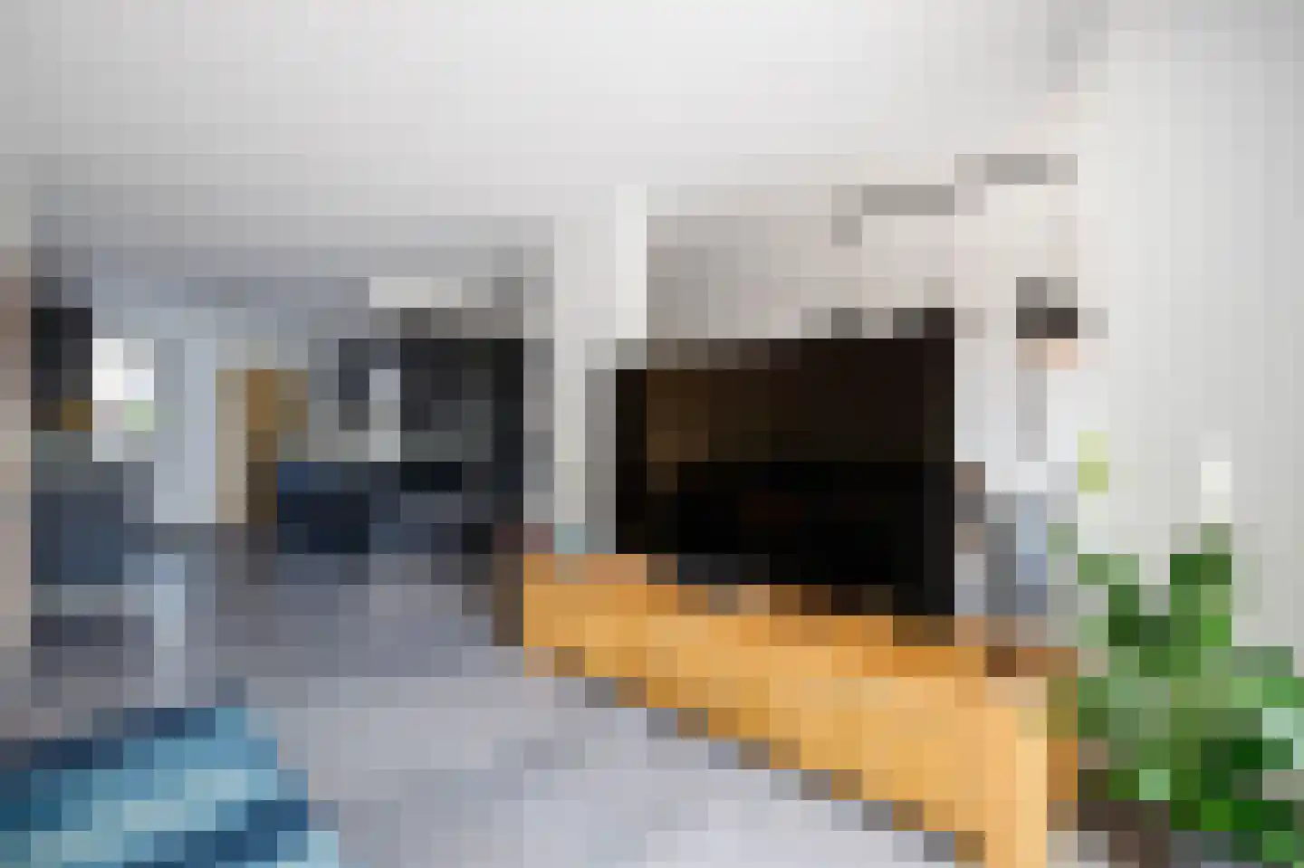 Naardermeer 246 Rotterdam thumbnail 11