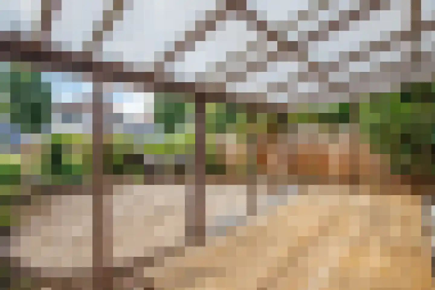 Naardermeer 246 Rotterdam thumbnail 37