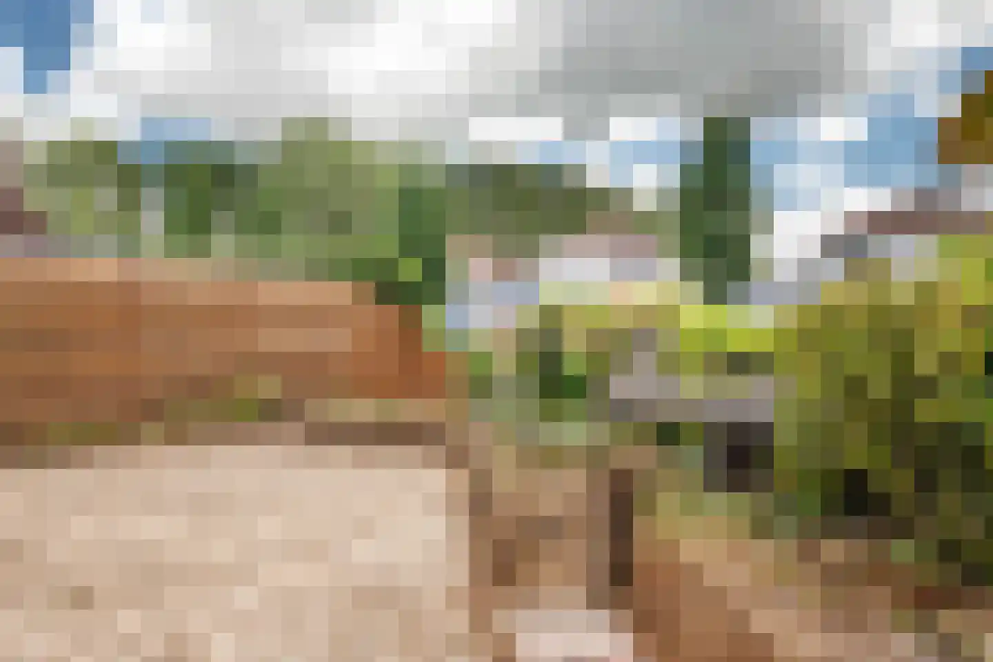 Naardermeer 246 Rotterdam thumbnail 38