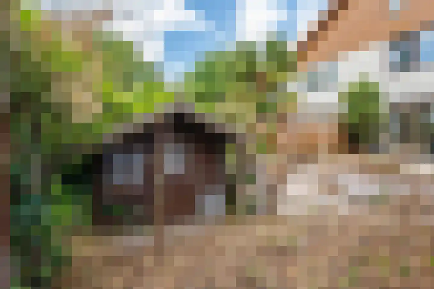 Naardermeer 246 Rotterdam thumbnail 41