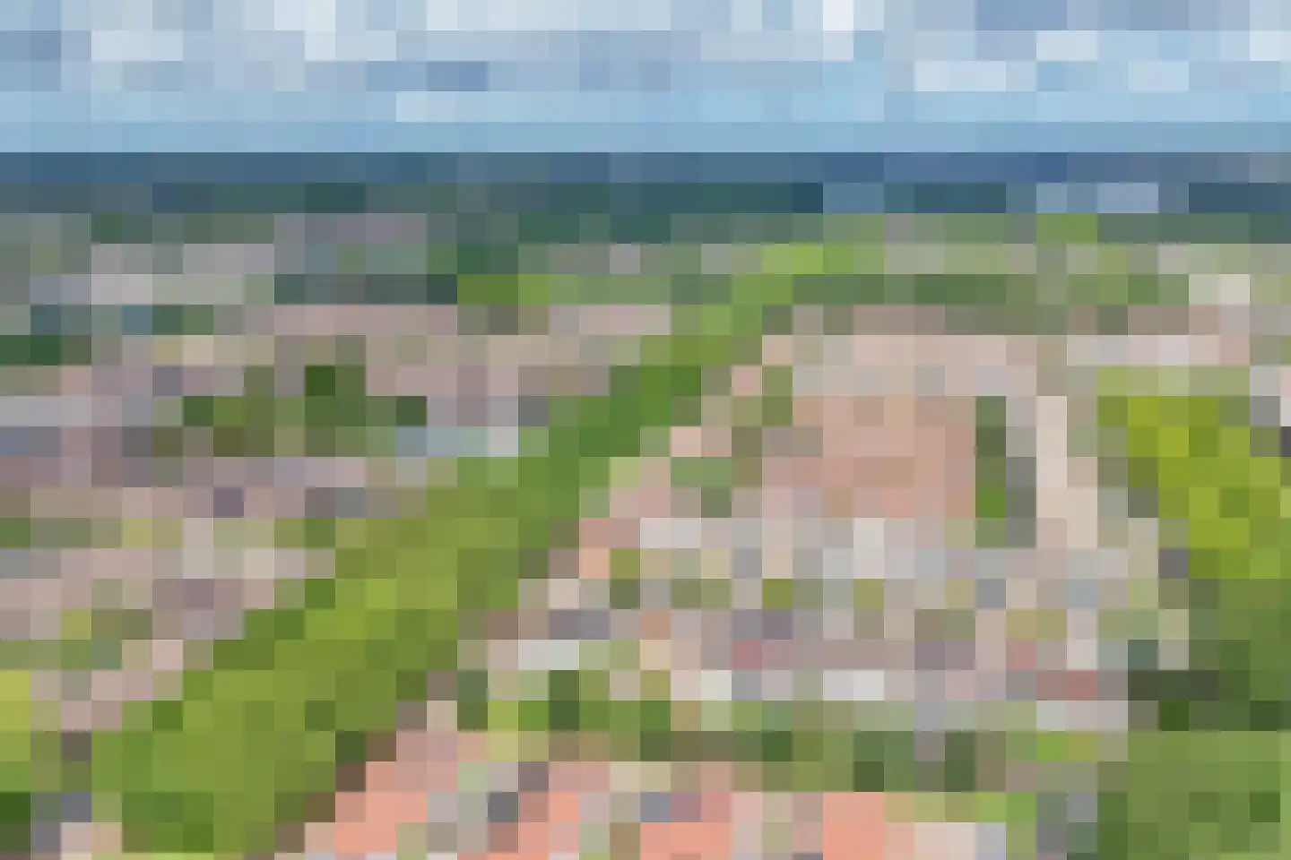 Naardermeer 246 Rotterdam thumbnail 44