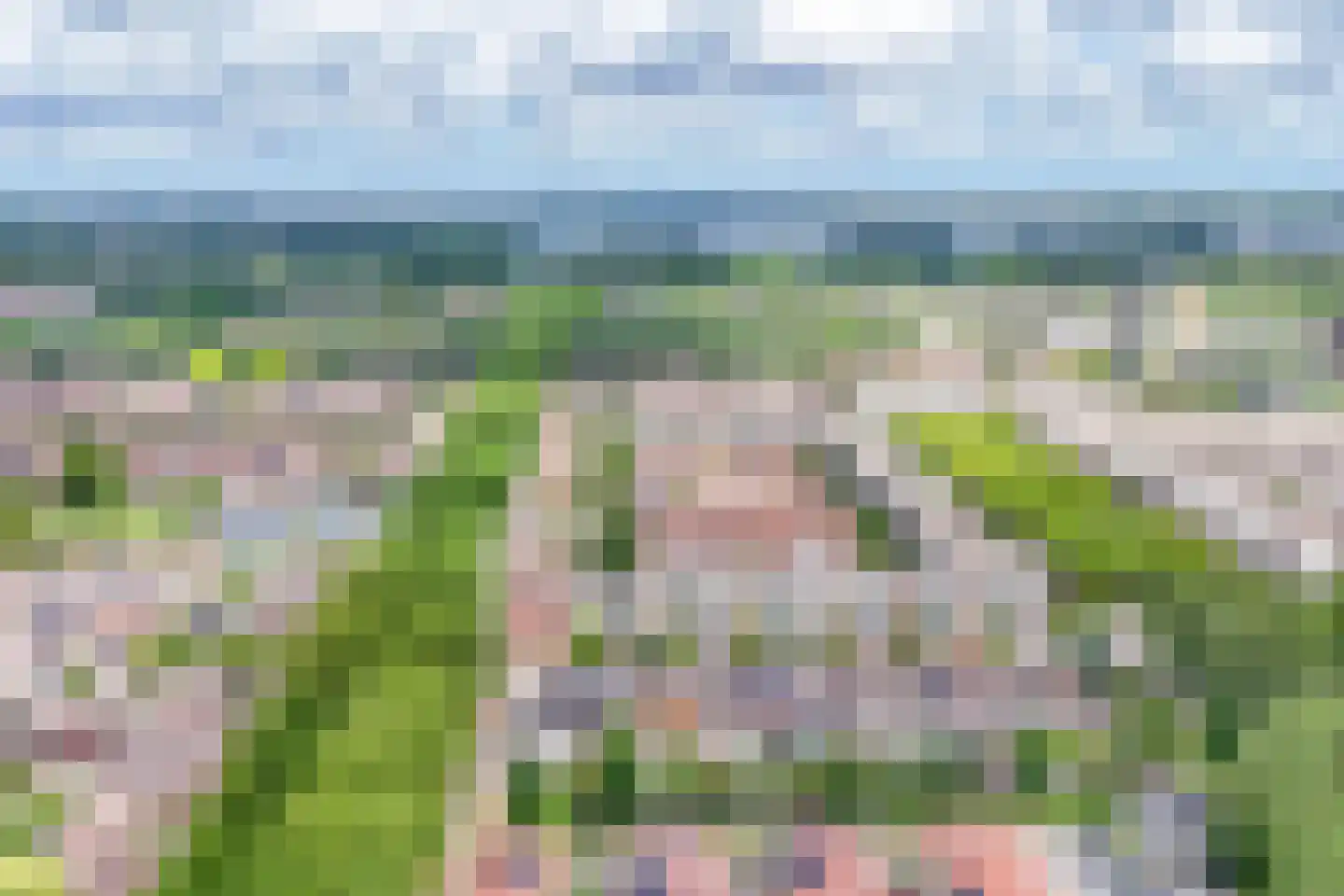 Naardermeer 246 Rotterdam thumbnail 45