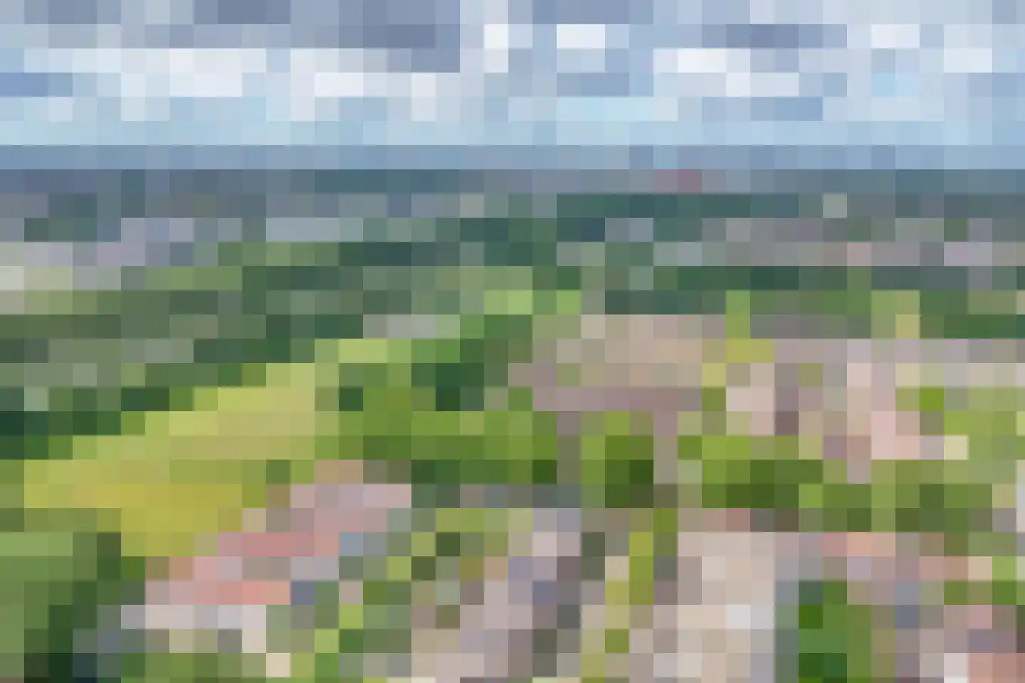 Naardermeer 246 Rotterdam thumbnail 46