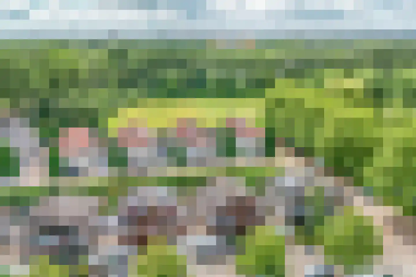 Naardermeer 246 Rotterdam thumbnail 53