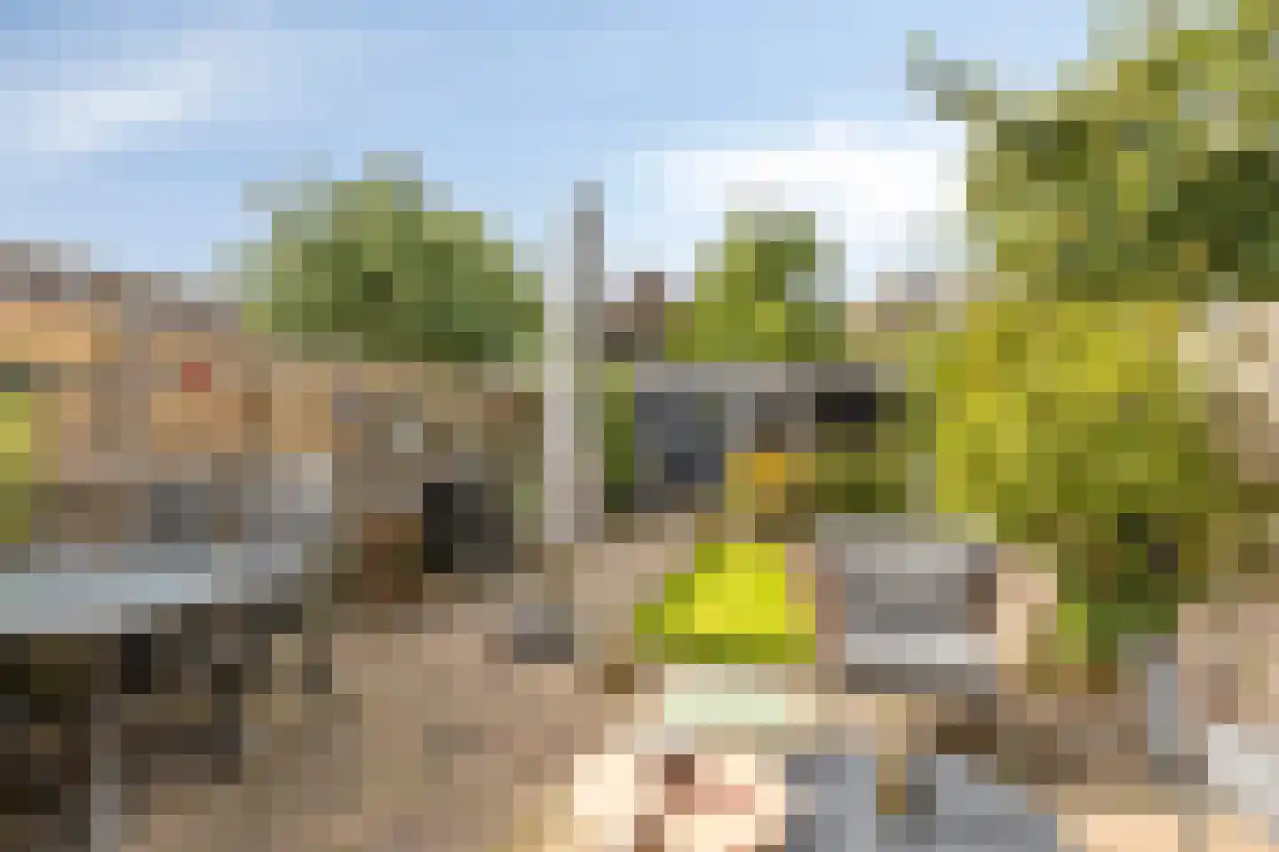 Naardermeer 89 Purmerend thumbnail 29