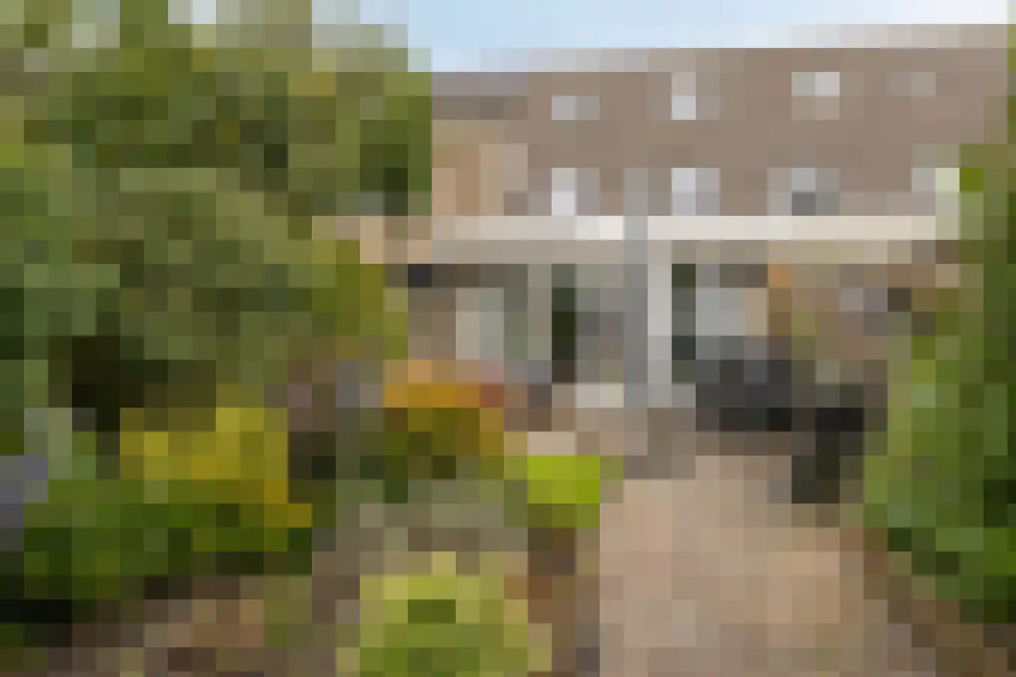 Naardermeer 89 Purmerend thumbnail 33
