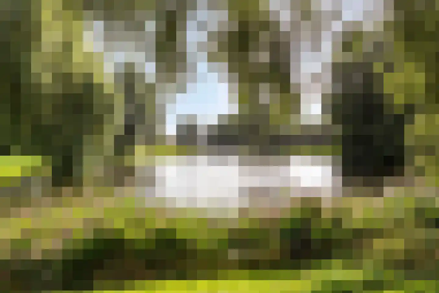 Naardermeer 89 Purmerend thumbnail 35